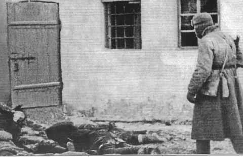 Расстрелянные оккупантами советские граждане во дворе тюрьмы г. Россошь. Январь 1943 г.